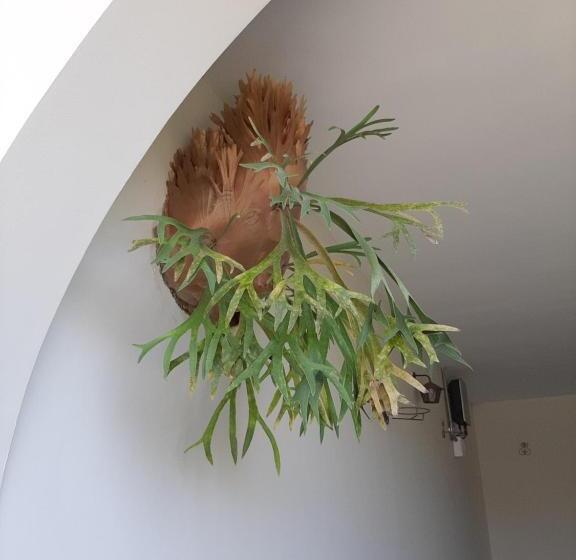 펜션 Pousada Santa Fé