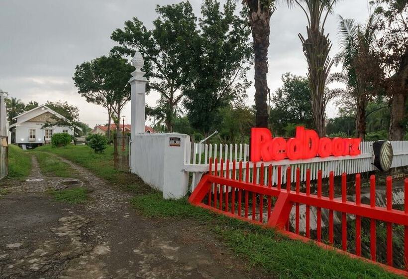 پانسیون Reddoorz Syariah Near Suzuya Mall Banda Aceh 2