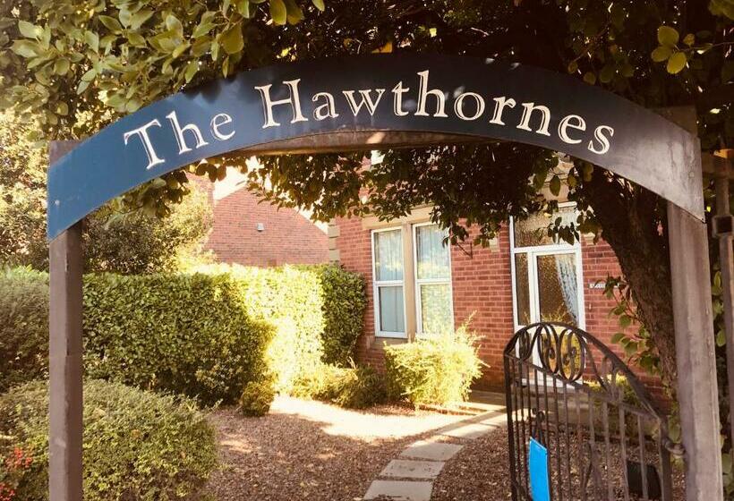 פנסיון The Hawthornes Licensed Guest House