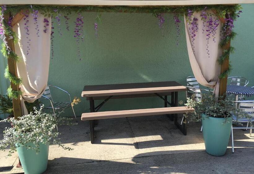 פנסיון The Hawthornes Licensed Guest House