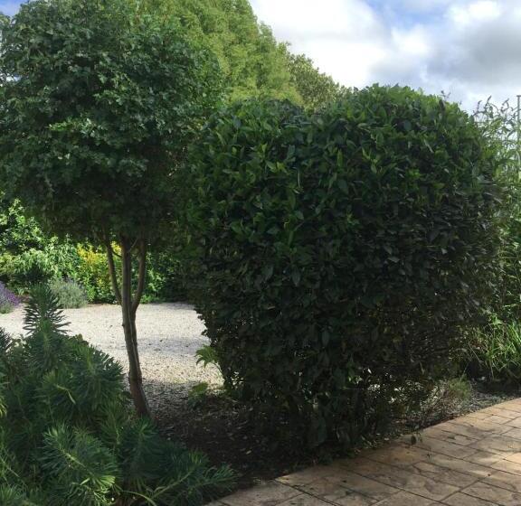 פנסיון The Hawthornes Licensed Guest House