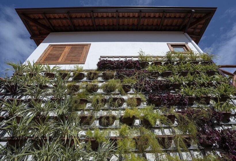 פנסיון Vila Lua De Taipu   Taipu De Fora