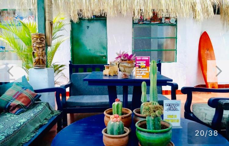 Surf Hostel My Friends