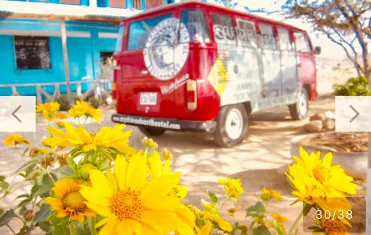 Surf Hostel My Friends