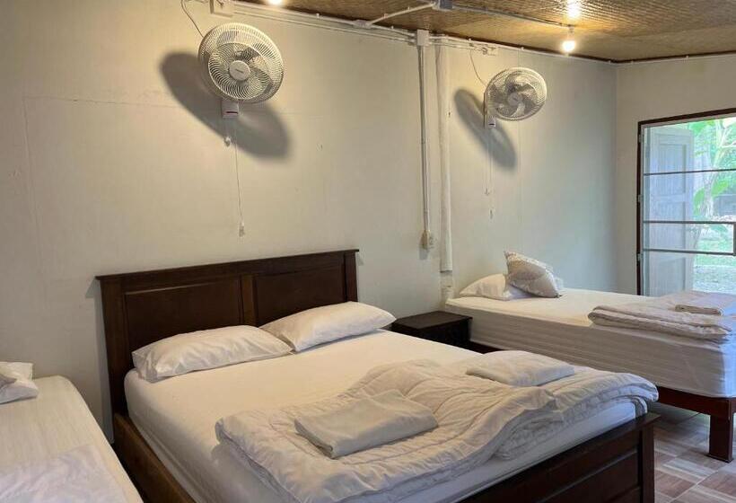 Общежитие Brown House Chiangdao