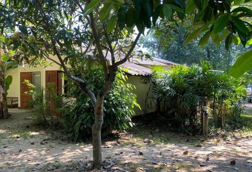 Общежитие Brown House Chiangdao