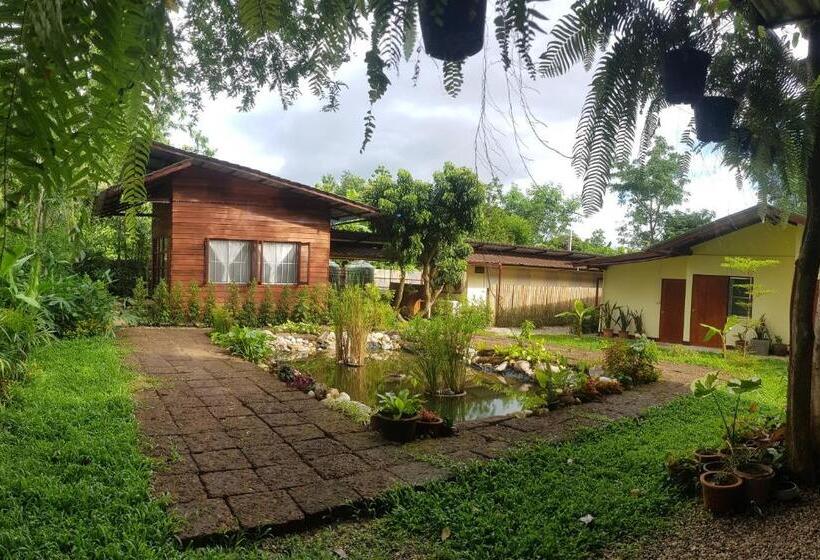 Общежитие Brown House Chiangdao