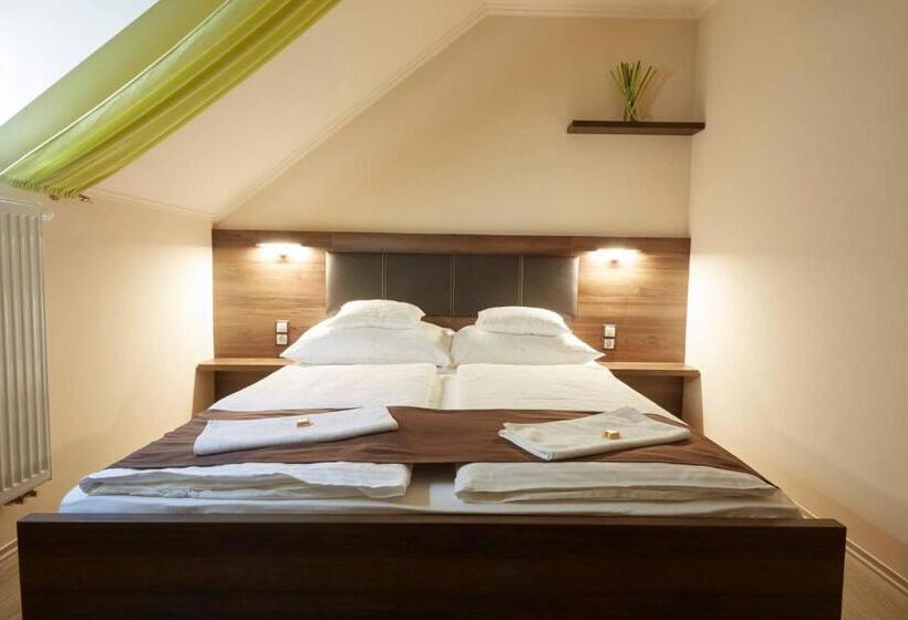 ベッドアンドブレックファースト Ludvig Panzió