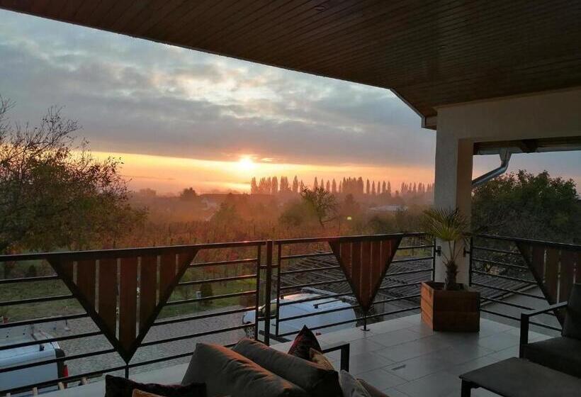 ベッドアンドブレックファースト Ludvig Panzió