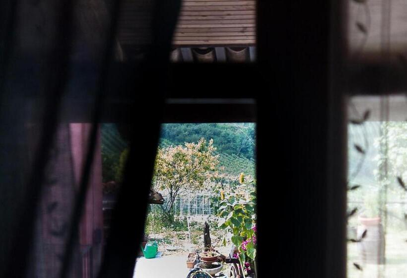 ホテル Agriturismo La Cà Veja