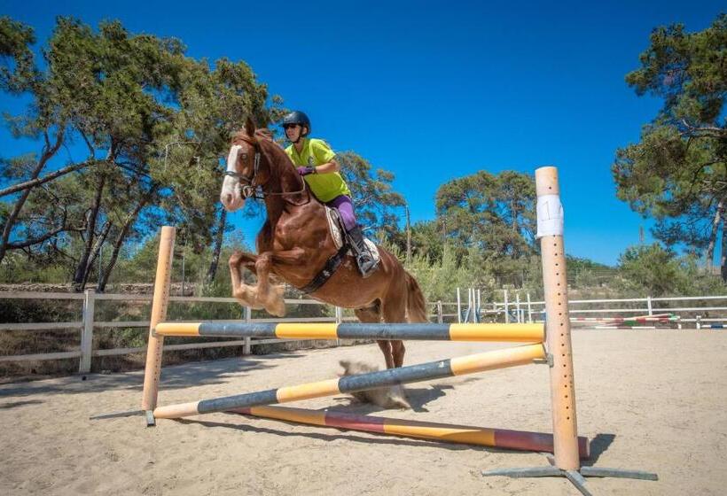 Отель Aphrodite Hills Rentals   Premium Serviced Apartments