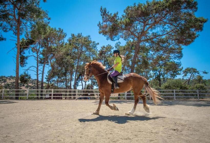 Отель Aphrodite Hills Rentals   Premium Serviced Apartments