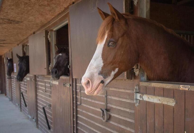 Отель Aphrodite Hills Rentals   Premium Serviced Apartments