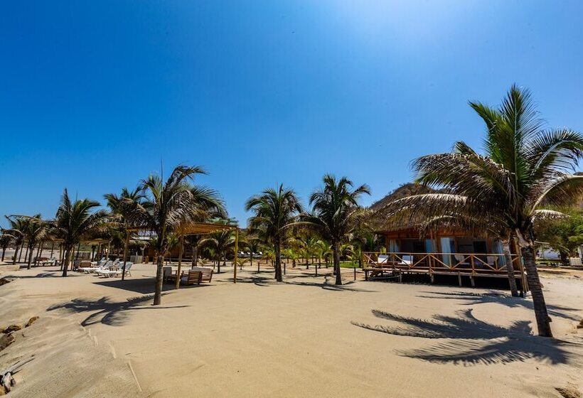 בית מלון כפרי Bungalows & Suites Punta Camarón