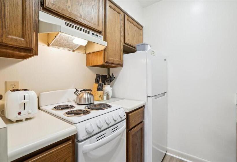 בית מלון כפרי Cedarbrook Queen Suite 203