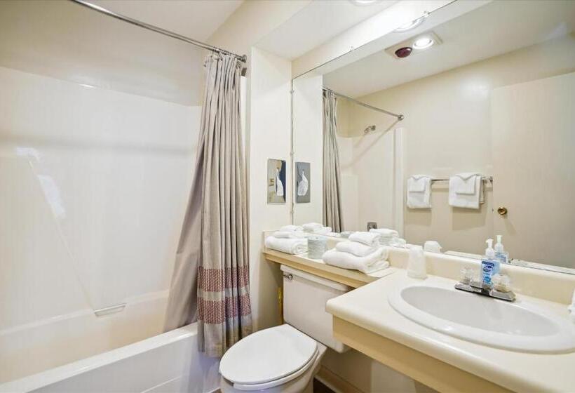 בית מלון כפרי Cedarbrook Queen Suite 203