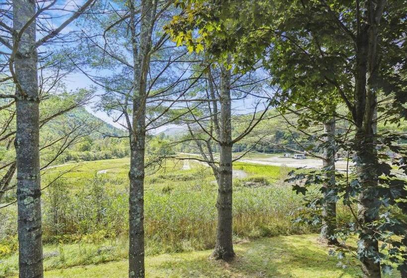 בית מלון כפרי Cedarbrook Queen Suite 203