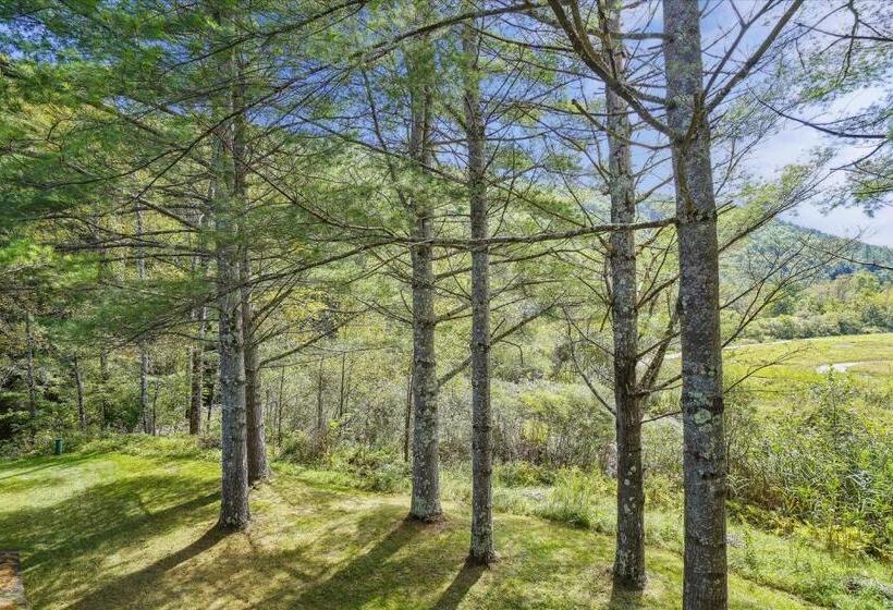 בית מלון כפרי Cedarbrook Queen Suite 203