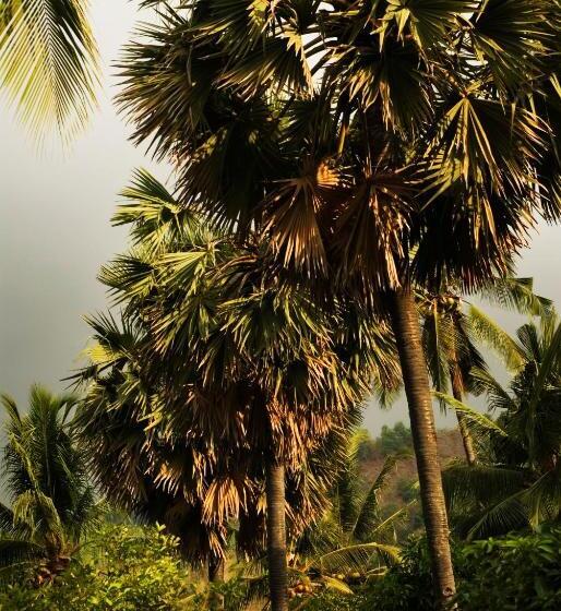 בית מלון כפרי Gaia Oasis Mountain Abasan