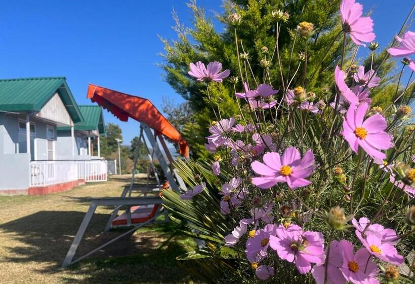 ホテル Snowdrop Eco Resort