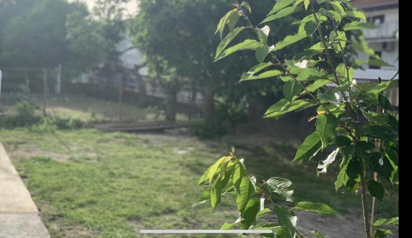 پانسیون Apartments Dibra