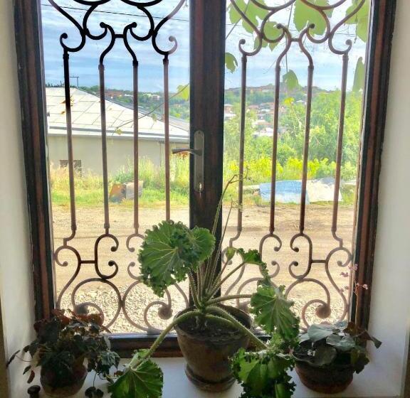 پانسیون Luca Lili