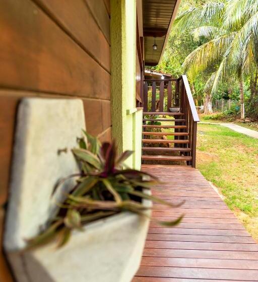 ペンション Pousada Flor De Noronha
