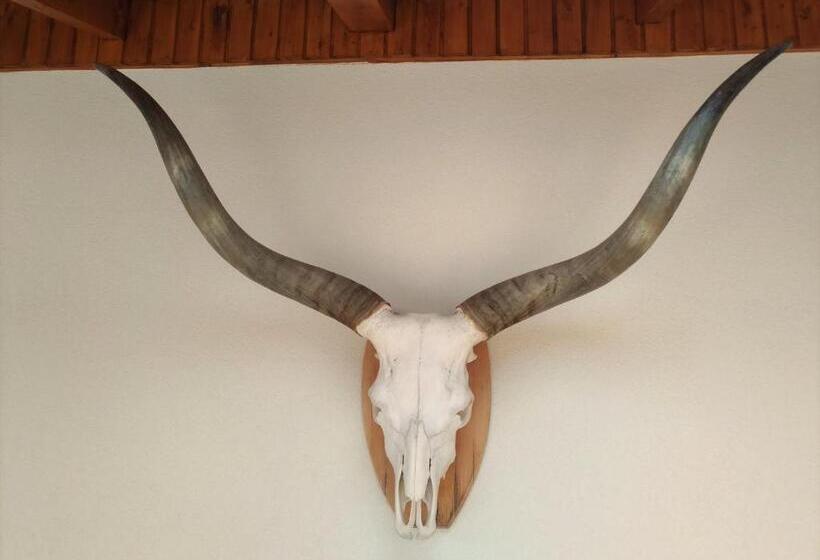 ペンション St. Hubert Vendégház