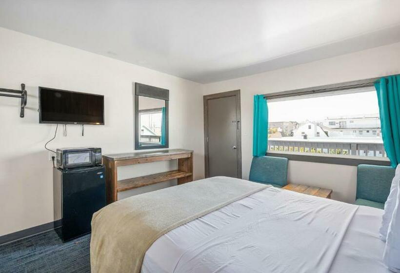 旅馆 Beach Bum Inn