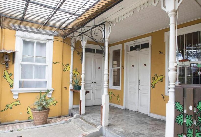 Общежитие Casa Mayela Guest House