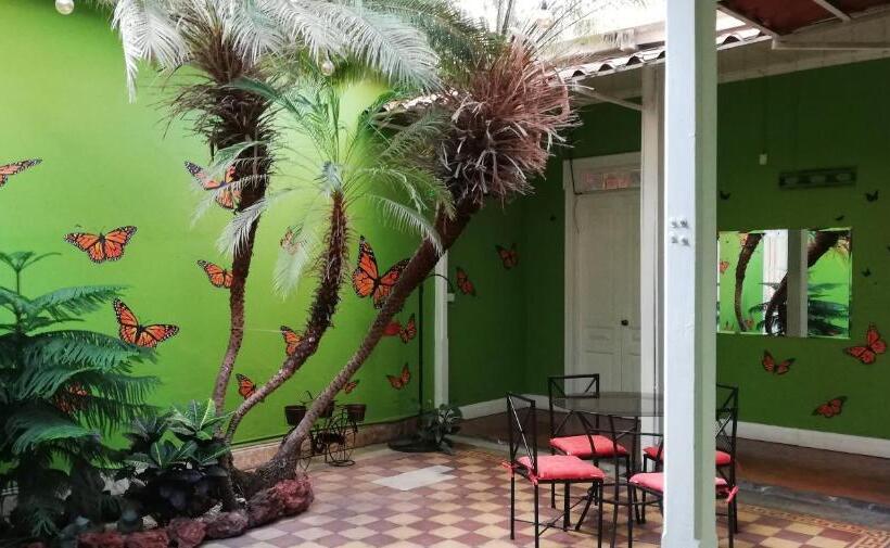 Общежитие Casa Mayela Guest House