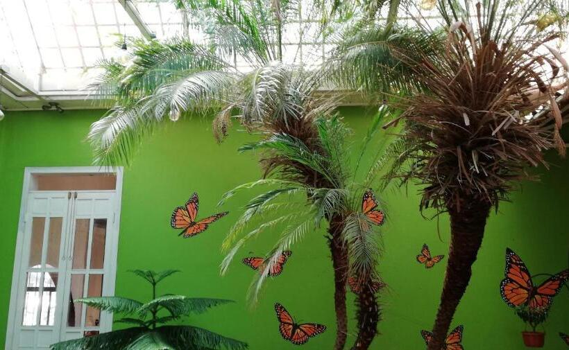 Общежитие Casa Mayela Guest House