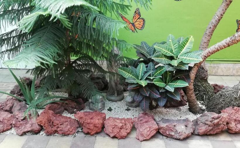 Общежитие Casa Mayela Guest House