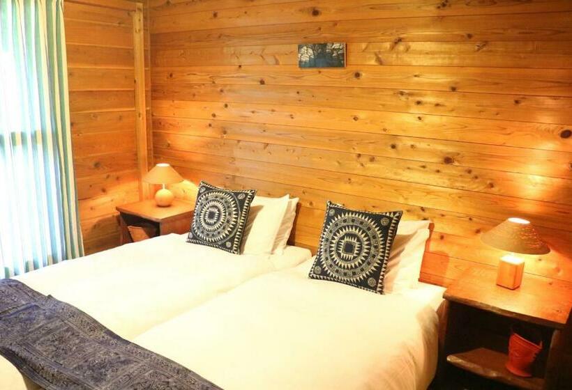 فندق صغير First Tracks Madarao