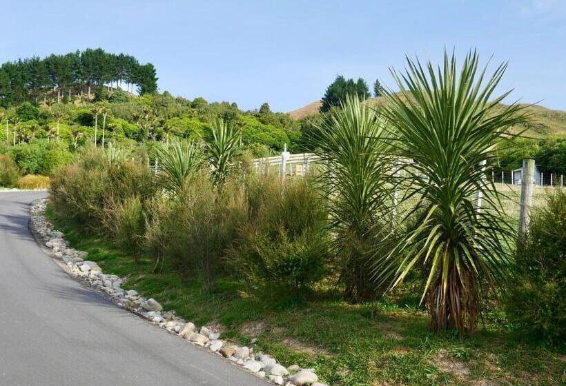 Aston Road Villa Bed & Breakfast