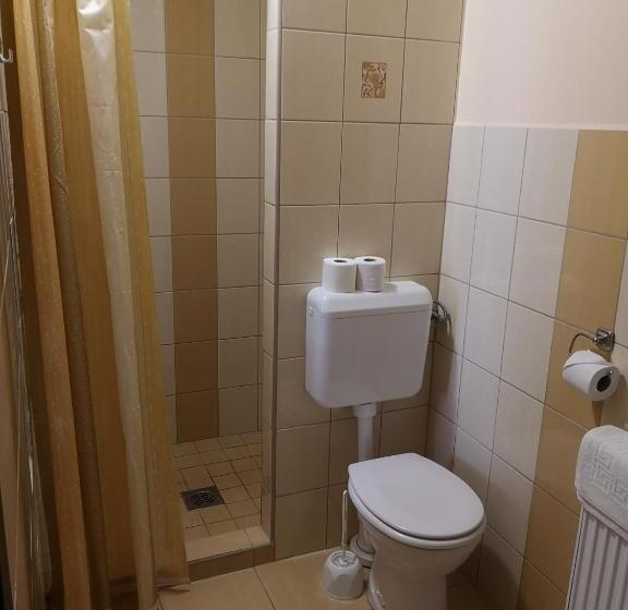 Bed and Breakfast Borostyán Panzió Balatonfüred