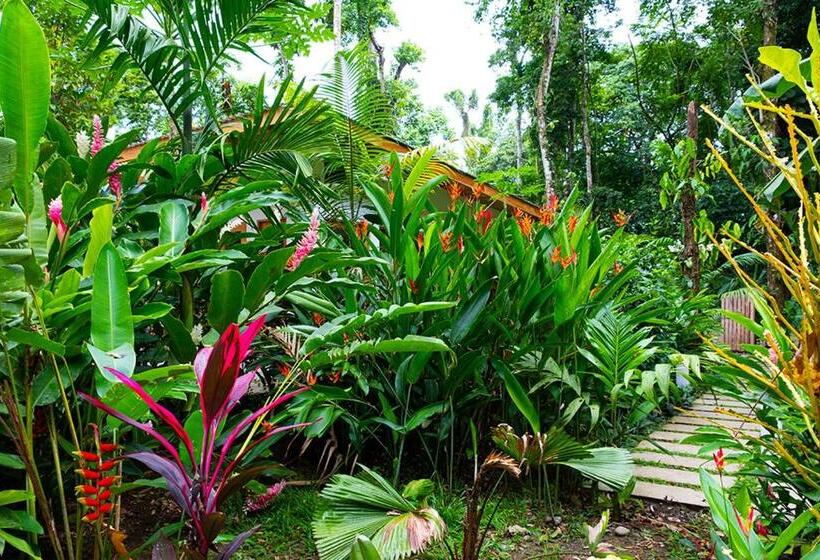 צימר La Paz Del Caribe Adults Only