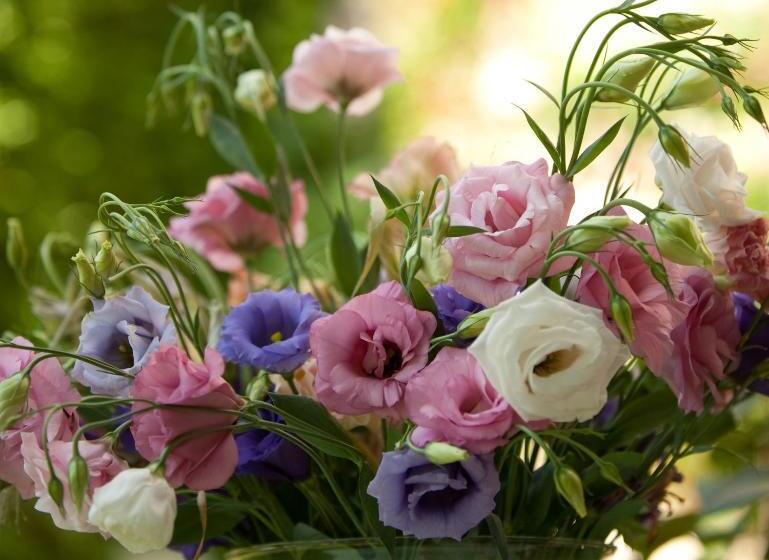 مبيت وإفطار Maison De La Bourgade