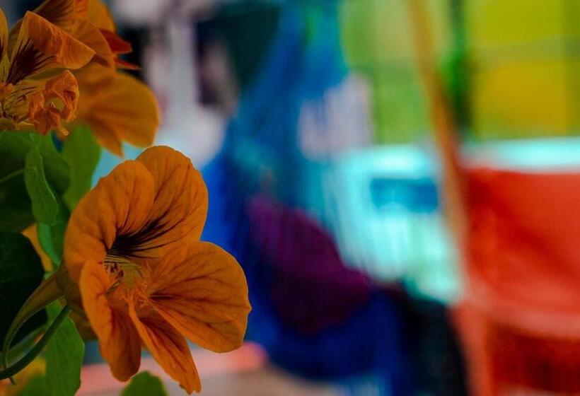 مبيت وإفطار Posada Azul Cusco