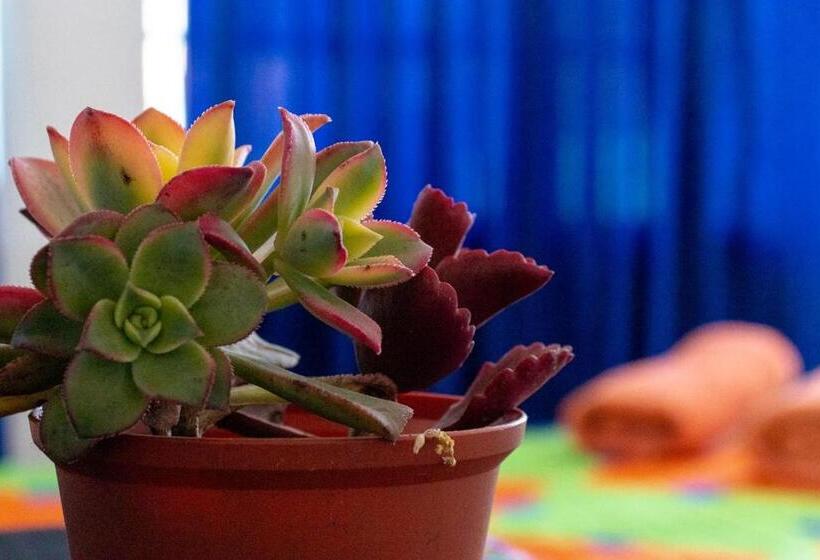 مبيت وإفطار Posada Azul Cusco