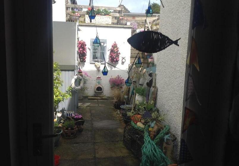 צימר The White House