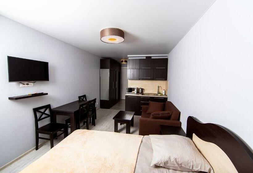 Gudauri New Loft 1 Tophit