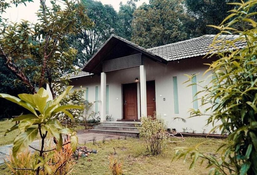 酒店 Abad Brookside Wayanad