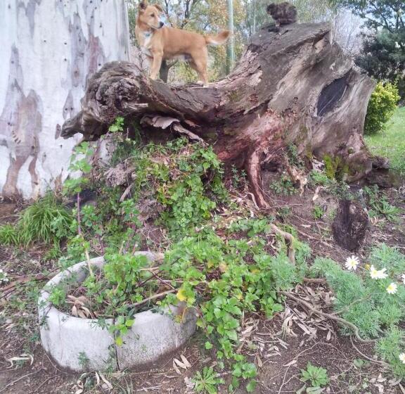 酒店 Agriturismo Il Casotto