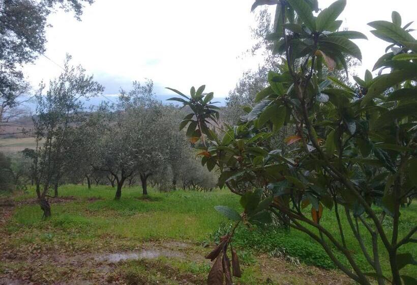 酒店 Agriturismo Il Casotto