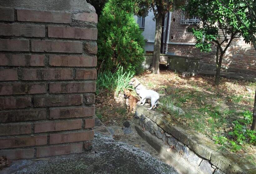 Отель Agriturismo Il Casotto