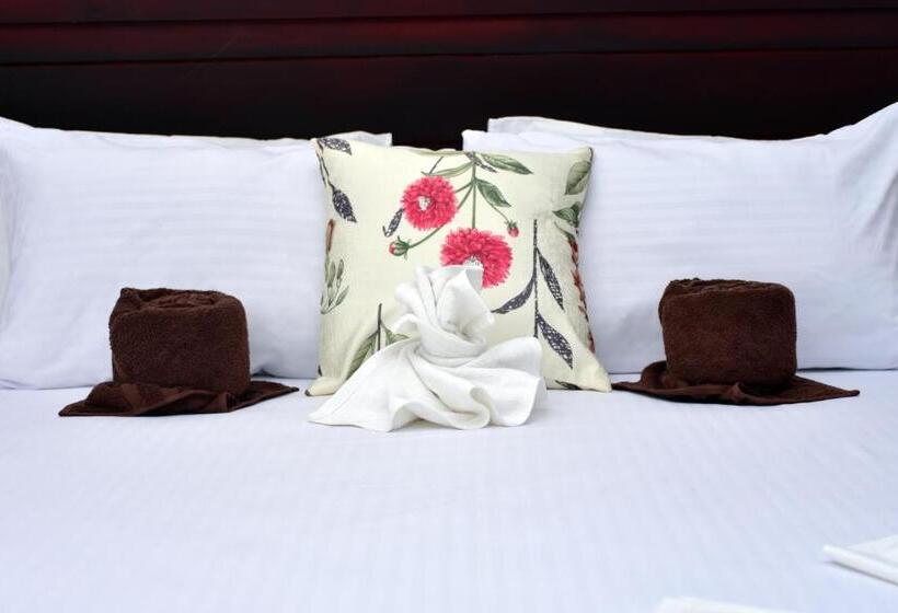 ホテル Aliya Aliya Hikkaduwa