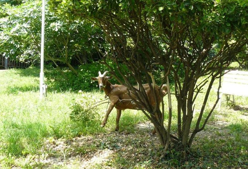 فندق Briz 3 Free Parking