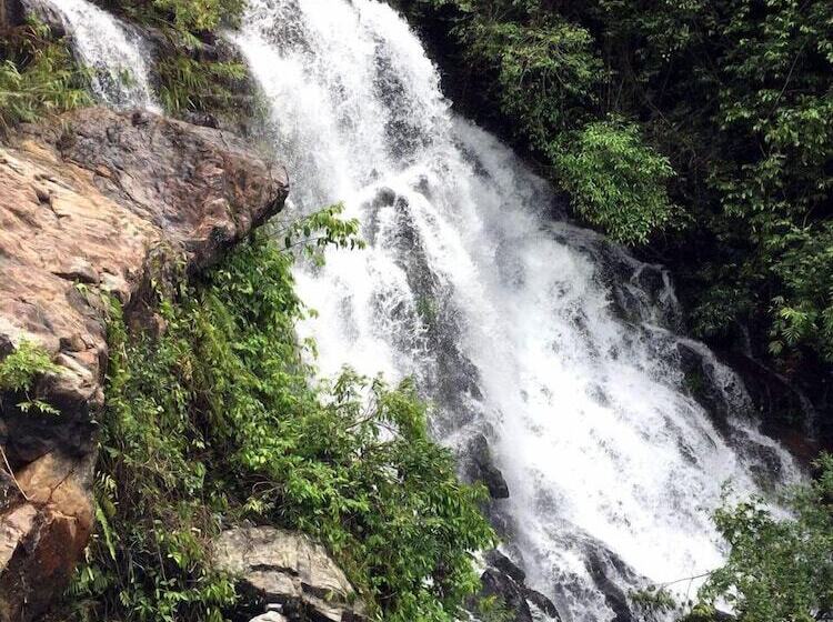 هتل Golden Forest Homestay