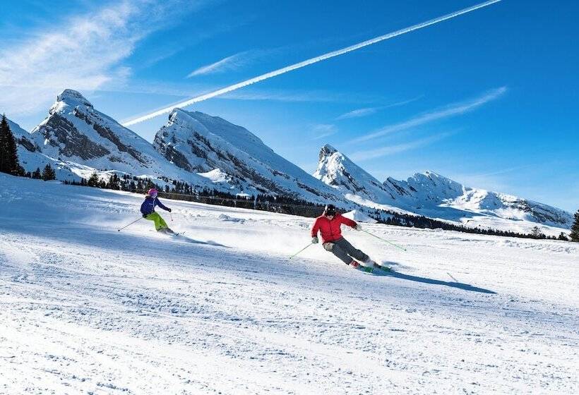 酒店 Hirschen Guesthouse Village